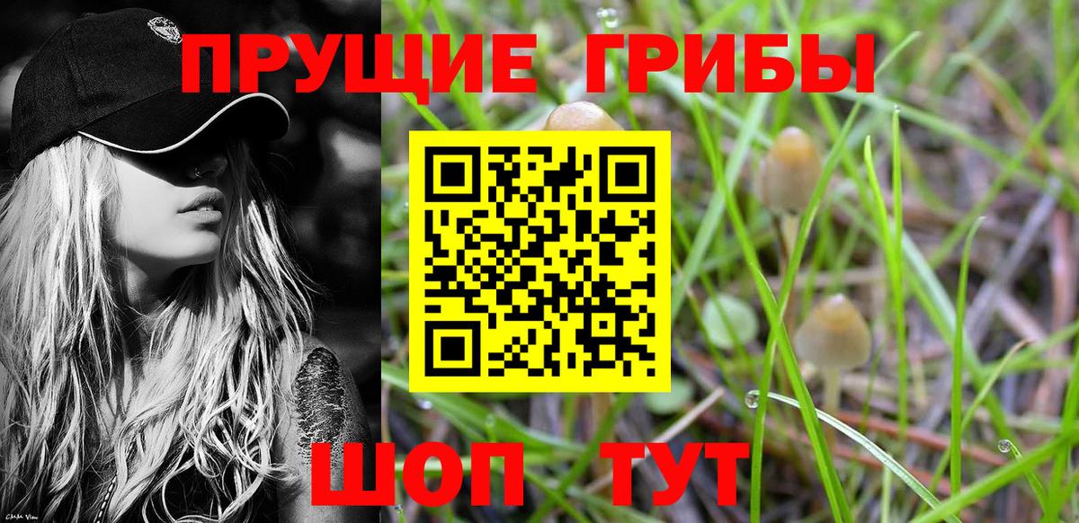 Аша  Галлюциногенные грибы Cubensis  Галлюциногенные грибы ЛСД  Вход с VPN 